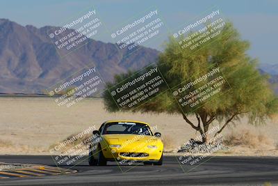 media/Nov-23-2024-Nasa (Sat) [[59fad93144]]/HPDE 1-2/Session 3 Turn 4 Tree of Life/